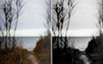 Dreamlike Diptych 10